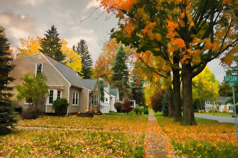 Autumn Neighborhood