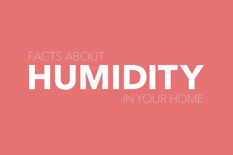 Video - Facts About Humidity.